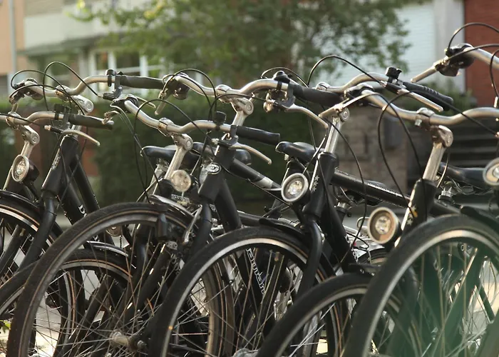 酒店 Boardhouse 3*